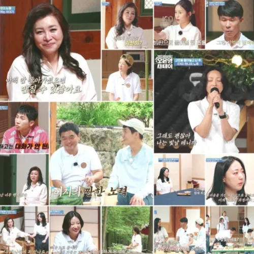 하니 오은영 스테이