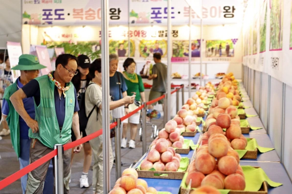 향수옥천 포도복숭아축제