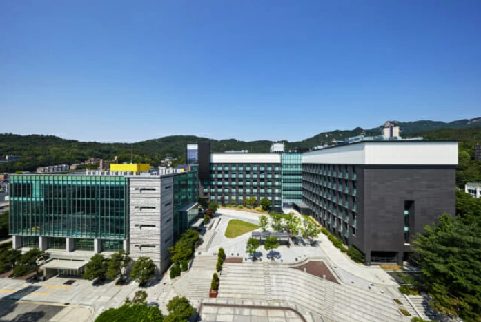 고려대의대