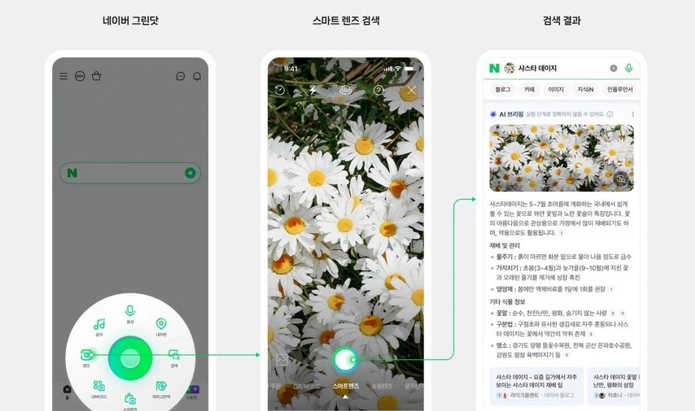 네이버
