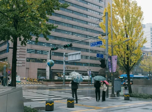 수도권