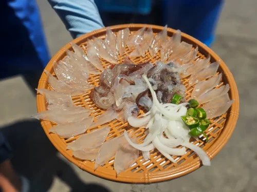 속초시