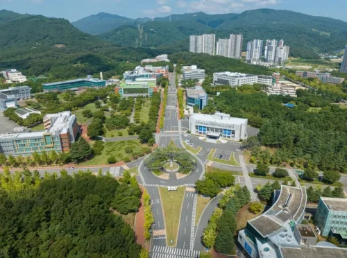 대구가톨릭대