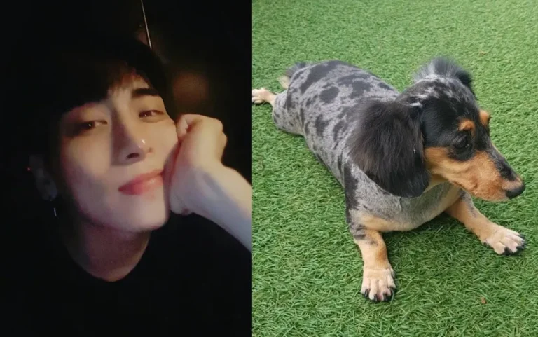 그룹 샤이니 멤버 고(故) 종현, 반려견 루