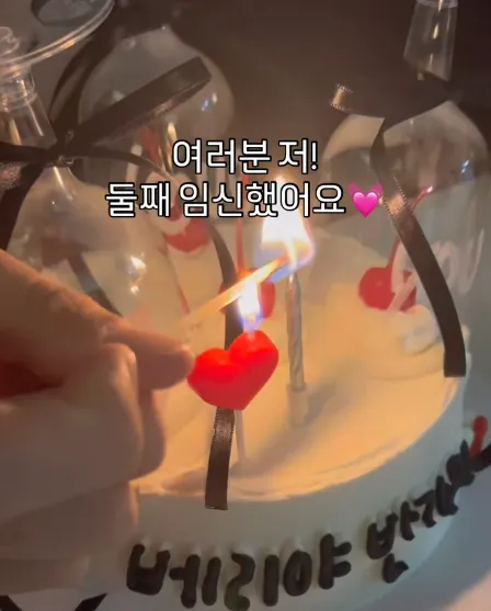 나비 임신