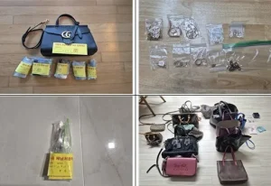 고액 체납