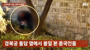 경복궁 돌담