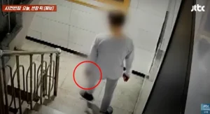 송파구 아파트