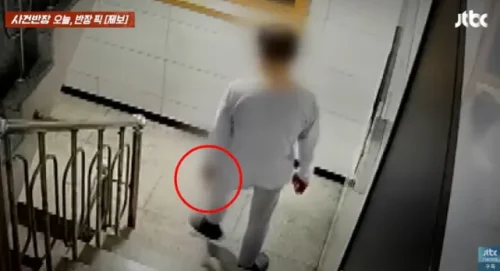 송파구 아파트