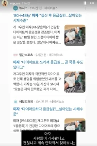 미자 다이어트