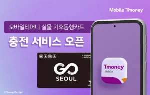 기후동행카드
