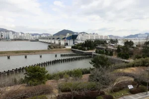 에버랜드보다 방문객 많은 순천만 복구