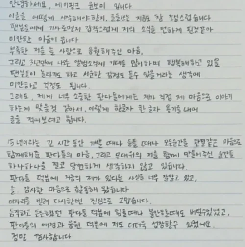윤보미 라도