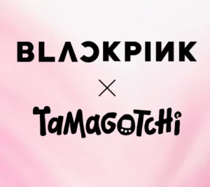 블랙핑크