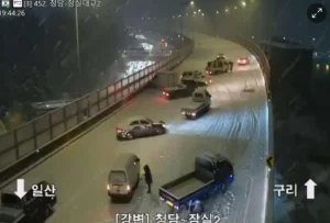폭설