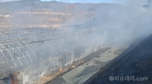 산불