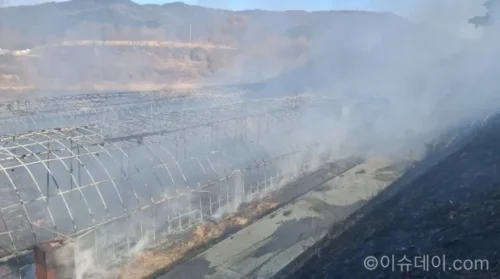 산불