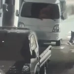 차량털이