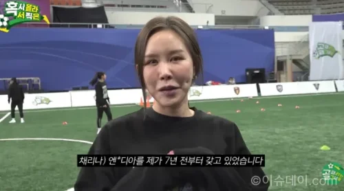 채리나