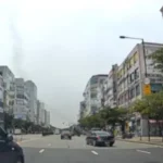 보험사기