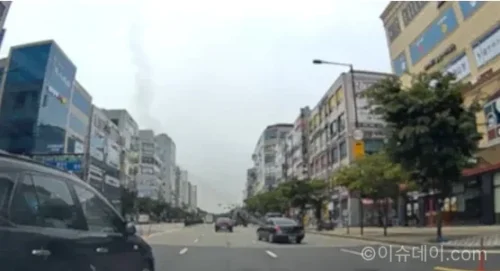 보험사기