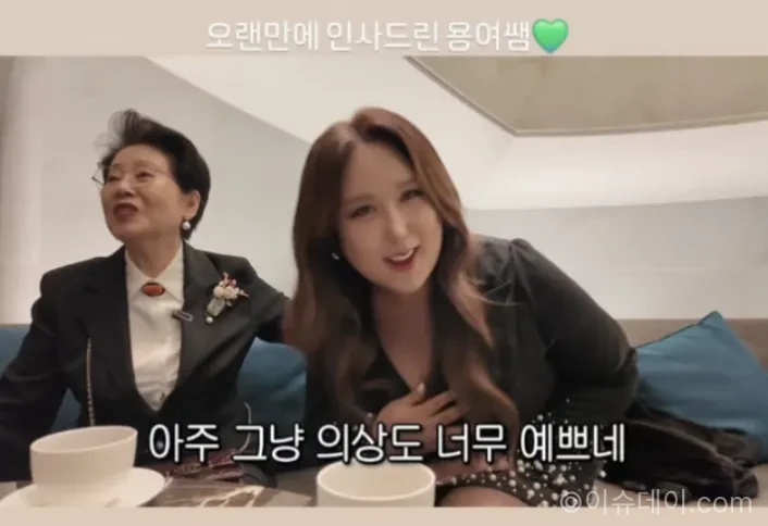 풍자