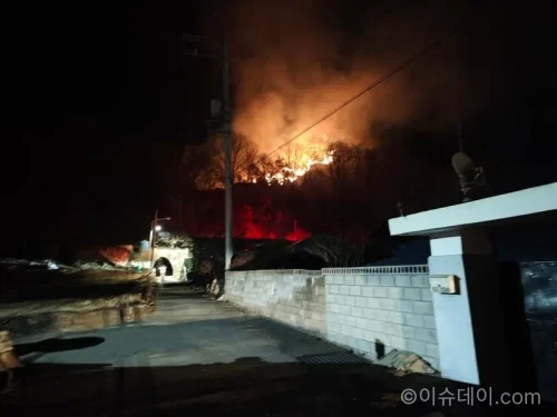 단양 산불