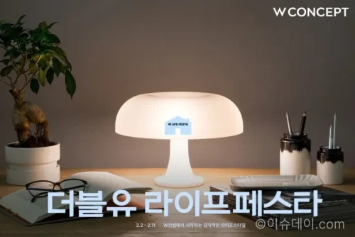 W컨셉