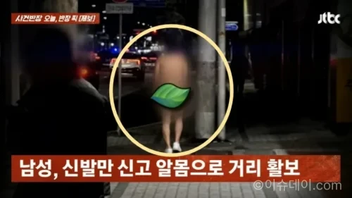 알몸