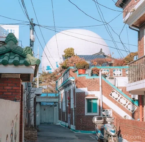 서울 대학가
