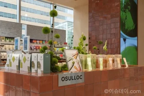 오설록