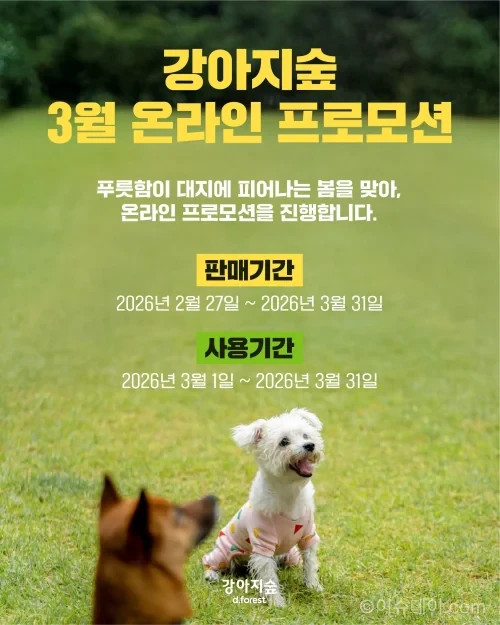 강아지숲