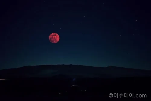 정월대보름