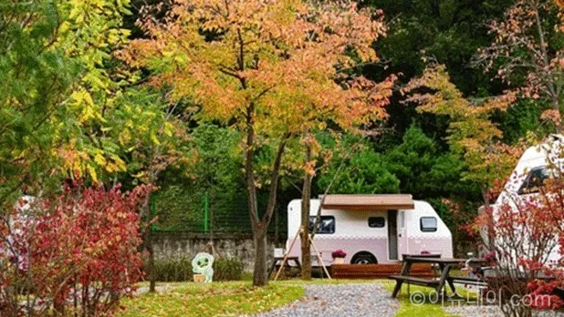 수원