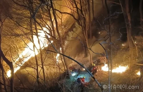 산불