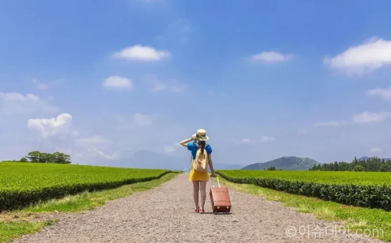 여행