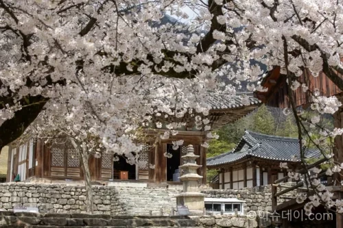 코레일