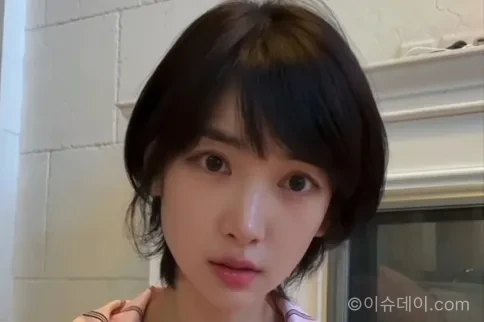 이해인