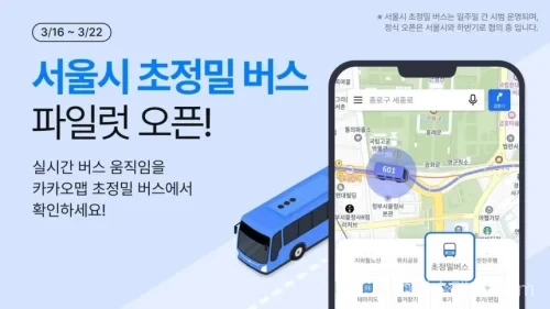 카카오맵