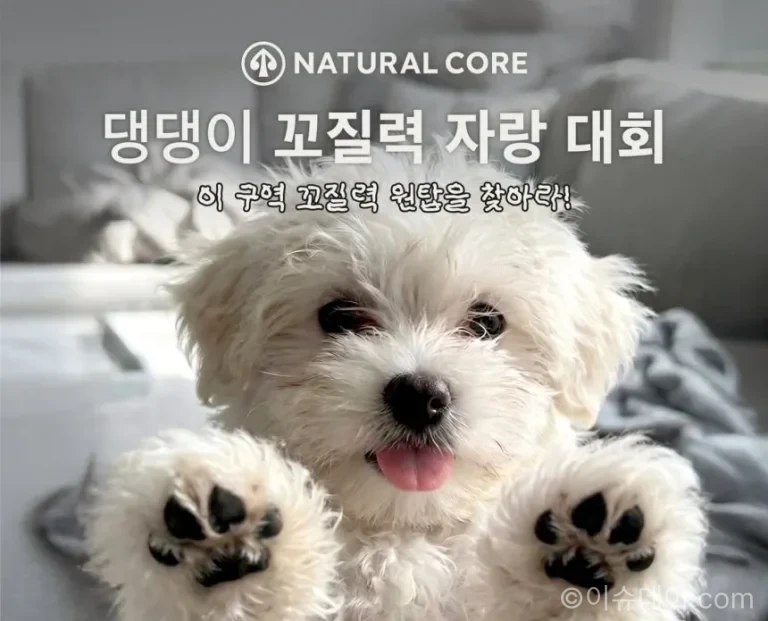네츄럴코어