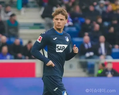 호펜하임