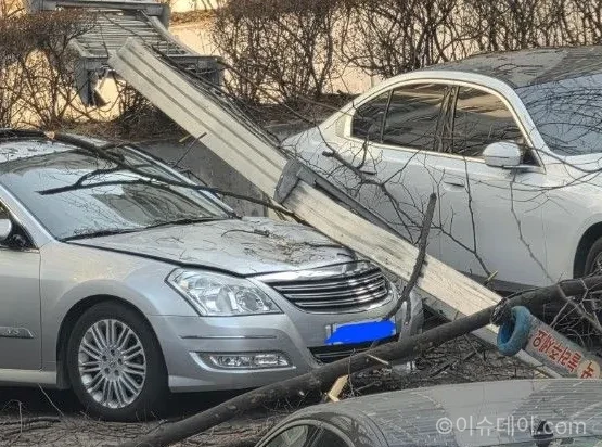 이삿짐