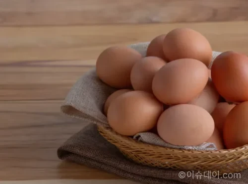 계란