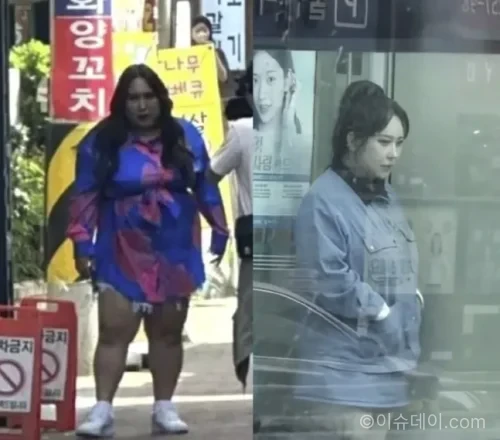 풍자