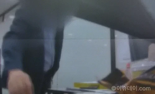 체모