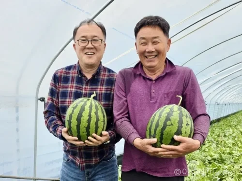 수박 시즌이 4월로 앞당겨지며 연중 소비로 변화. 유통업계는 당도, 산지, 배송 경쟁을 통해 시장 선점에 나섰다.