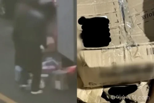 택배기사