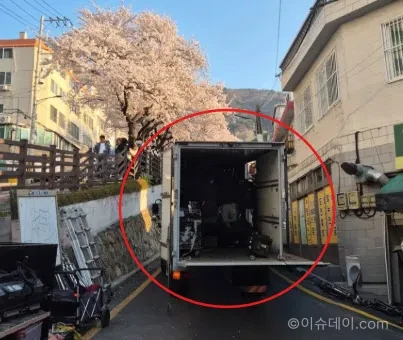 벚꽃