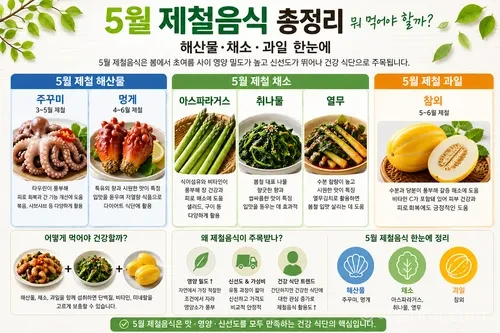 5월 제철음식 총정리. 주꾸미, 멍게, 아스파라거스, 취나물, 열무, 참외 등 해산물·채소·과일과 건강 효능을 확인하세요.