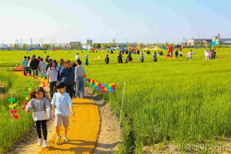 군산 꽁당보리축제가 4월 24~26일 열린다.